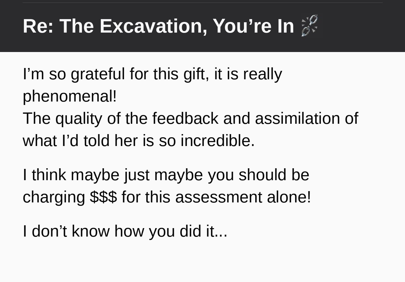 Email excerpt calling The Excavation phenomenal, praising the quality of its feedback, and saying the assessment alone should cost more.